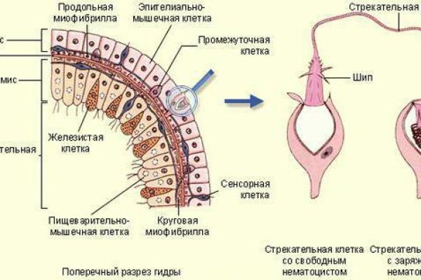 Kra13at